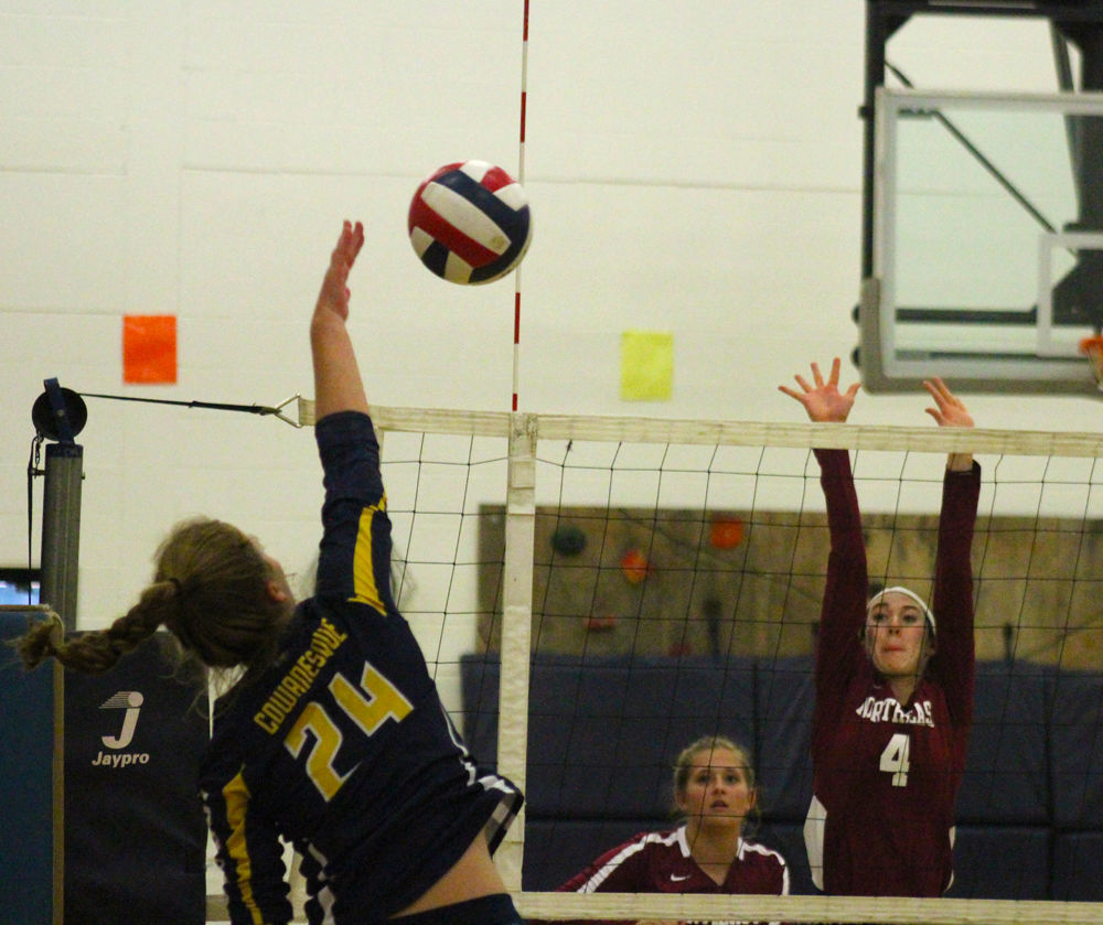 Vargeson rises above net